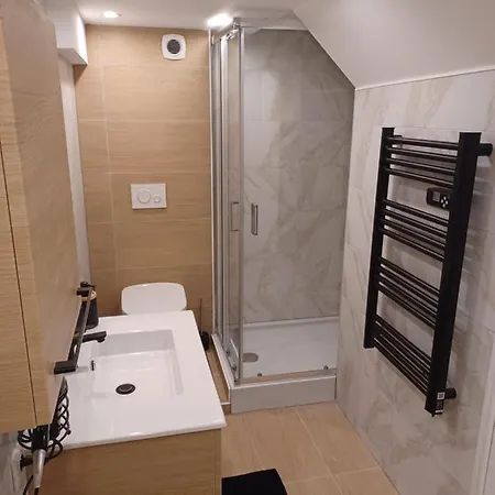 Tres Bel Appartement Type Loft De 40 M2 Dans Maison Avec Parking Privatif Lingolsheim Exterior photo