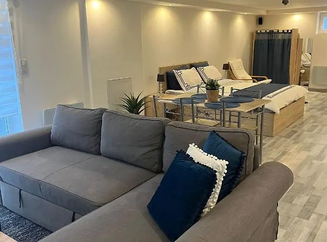 Tres Bel Appartement Type Loft De 40 M2 Dans Maison Avec Parking Privatif