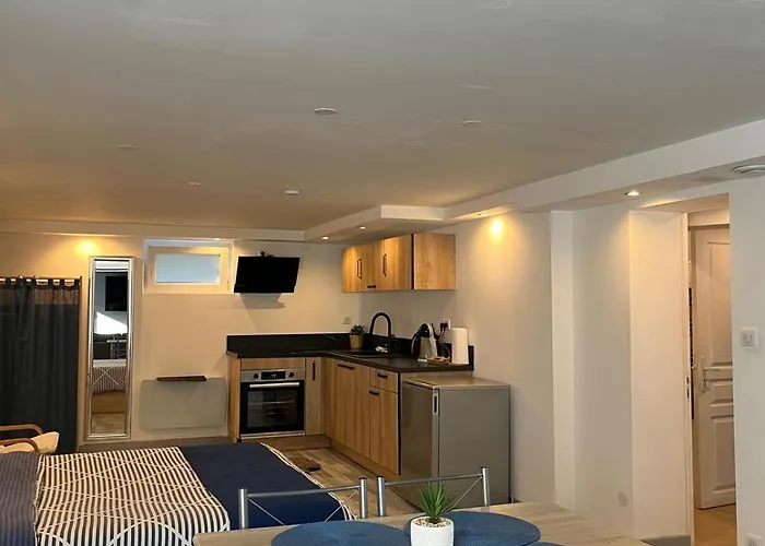 Tres Bel Appartement Type Loft De 40 M2 Dans Maison Avec Parking Privatif