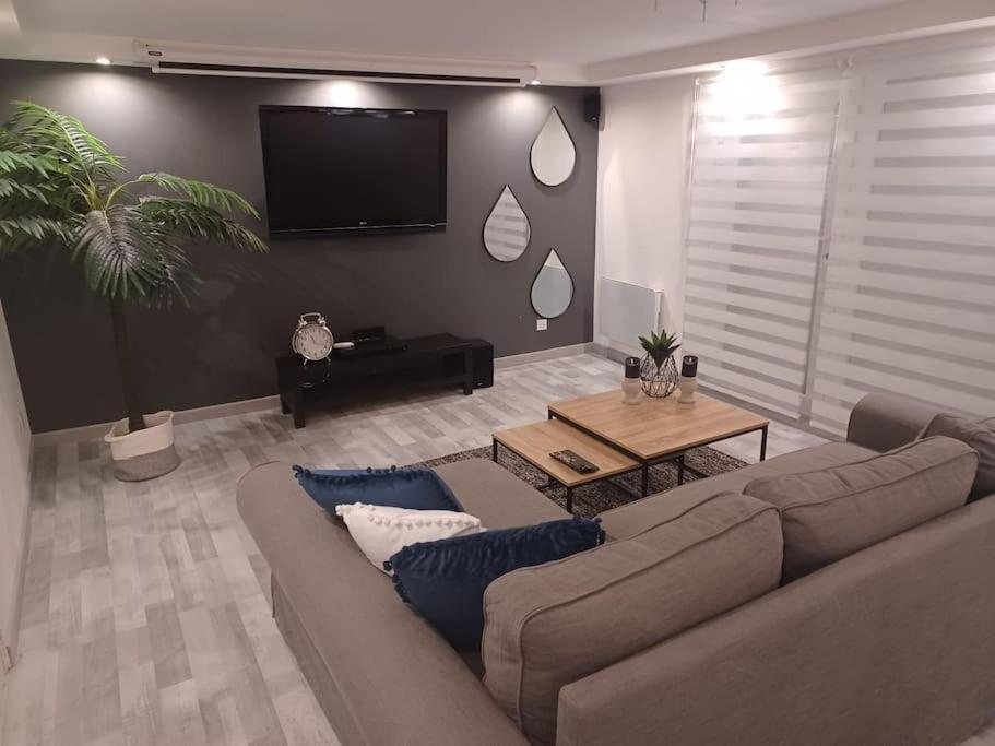 Tres Bel Type Loft De 40 M2 Dans Maison Avec Parking Privatif * Lingolsheim