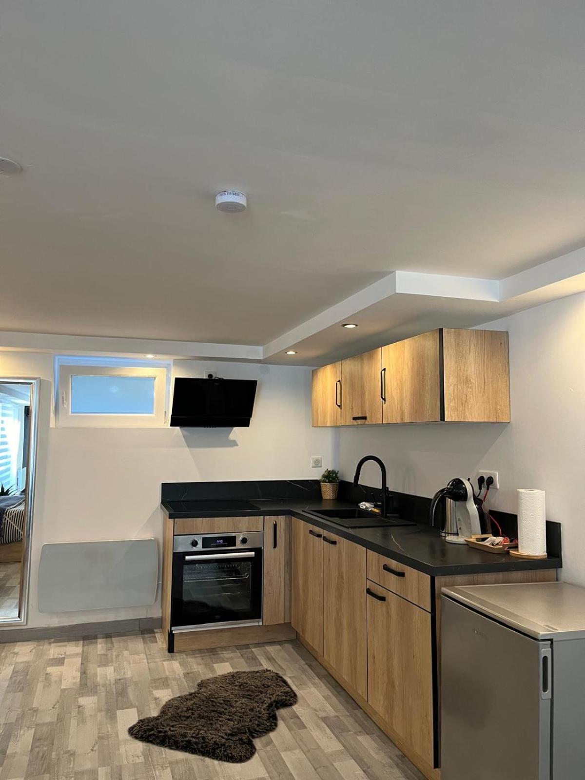 Apartment Tres Bel Type Loft De 40 M2 Dans Maison Avec Parking Privatif Lingolsheim